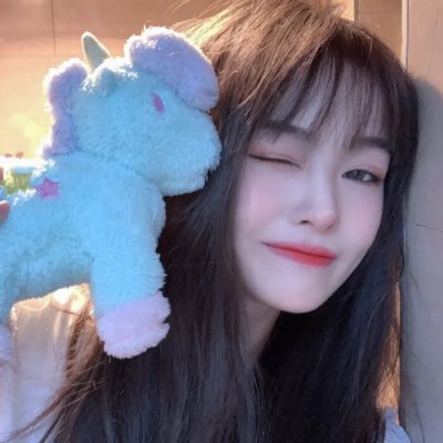 对战美洲狮